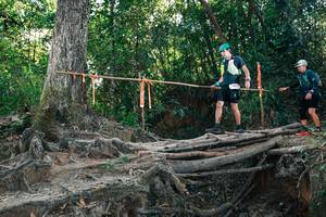 BIB: 
                            <button type="button" onclick="openModal(27751911)" class="btn btn-primary btn-sm float-right btn-popup" data-toggle="modal" data-target=".modal-high-quality">
                        <i class="fas fa-shopping-cart"></i> Add to Cart
                    </button>
                                            <button type="button" onclick="isThisMe(27751911, true)" class="btn btn-success btn-sm float-right btn-popup btn-isme hidden" data-toggle="tooltip" data-placement="bottom" title="นี่คือรูปของคุณใช่ไหม คลิกที่นี่เพื่อเอาเข้าอัลบั้ม">
                        <i class="fas fa-plus"></i> Add to album
                    </button>
                    <button type="button" onclick="isThisMe(27751911, false)" class="btn btn-warning btn-sm float-right btn-popup btn-isnotme hidden">
                        <i class="fas fa-ban"></i> Remove from album
                    </button>